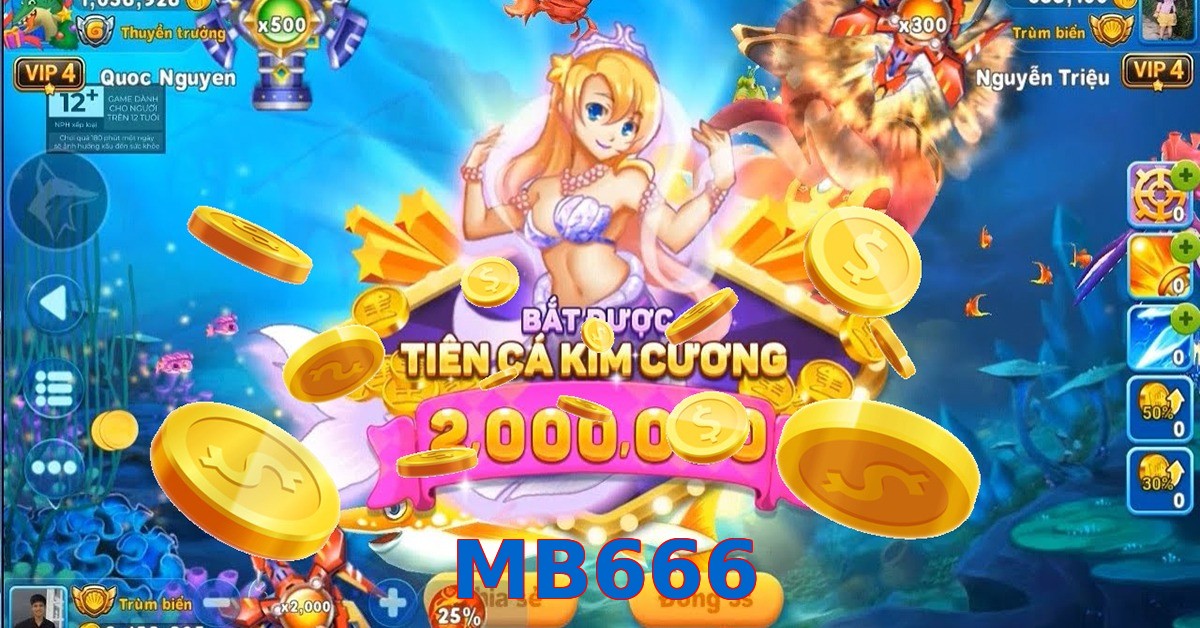 MB666