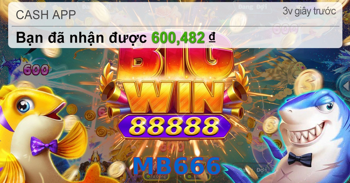 MB666